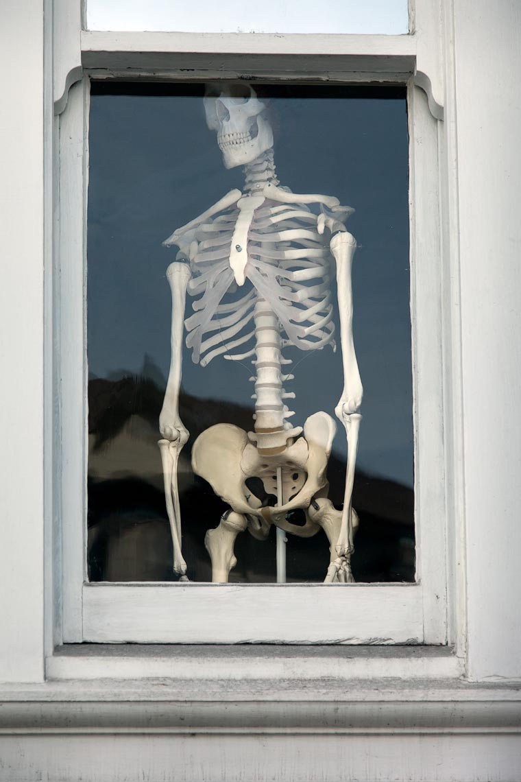 Skeleton in the window