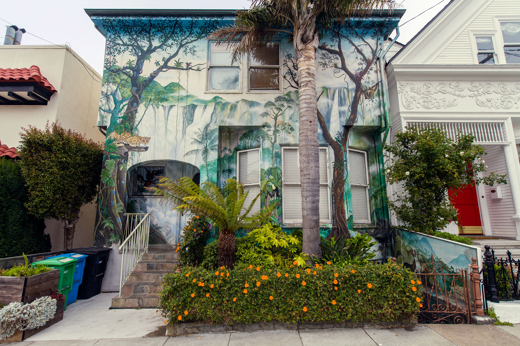 Botanical painted houses,San Francisco, California, 