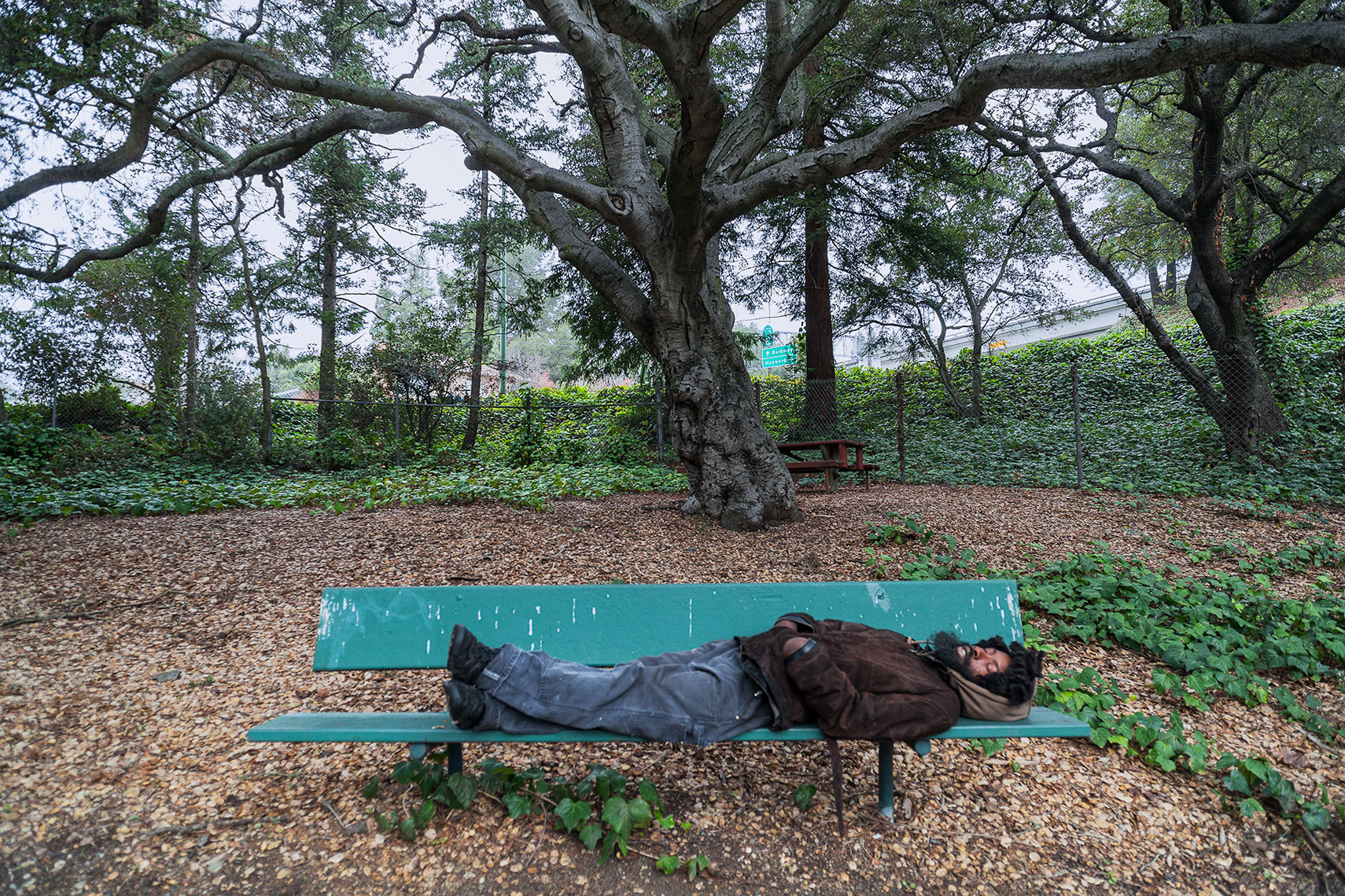 OaklandPark bench homeless sleeper, California, homeless, urban