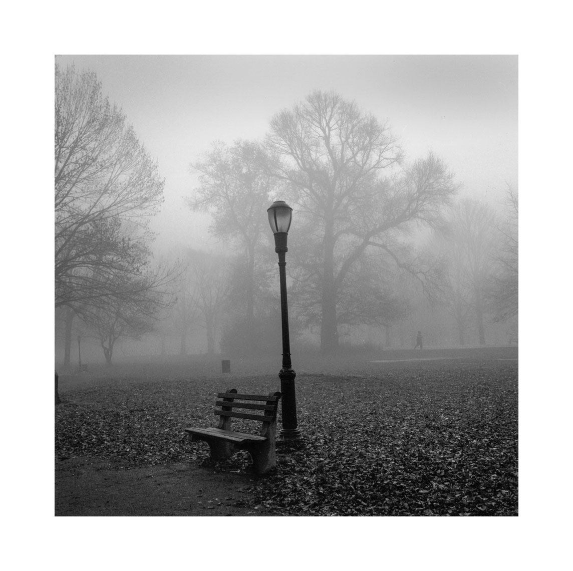 483-Park-bench-fog.jpg