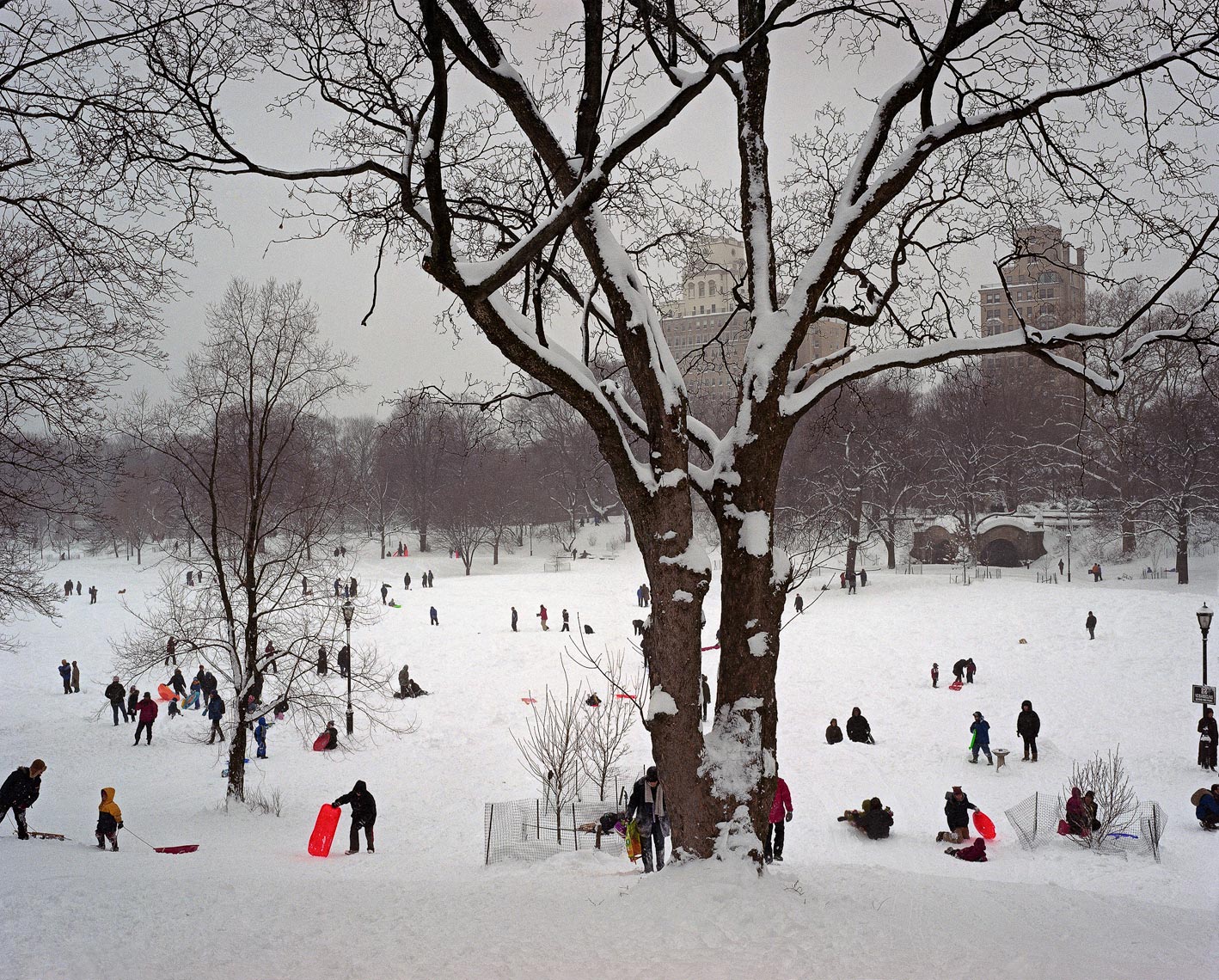 Prospect-Park-Snow-fotofolio.jpg