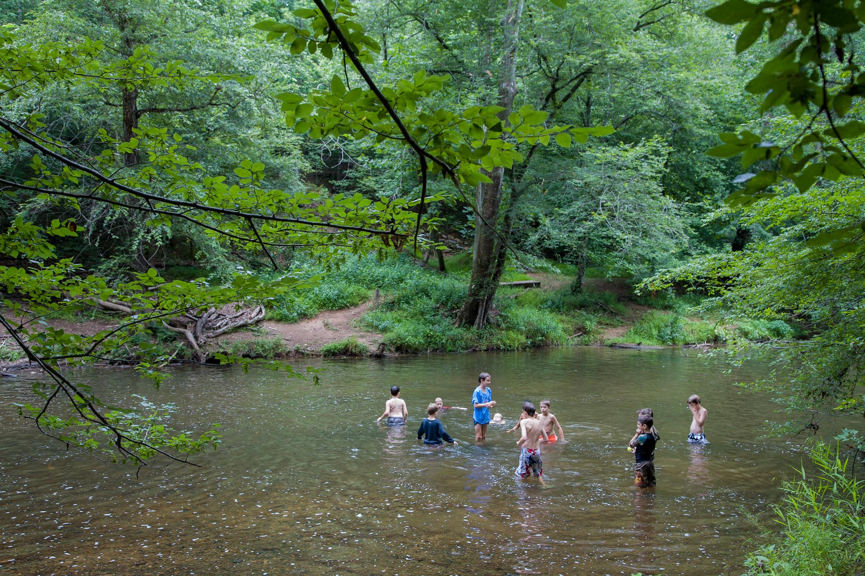 Boys in a summer stream, Chapel Hill, NC